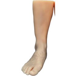 A Pound of Flesh Silicone Synthetic ben .til kn.