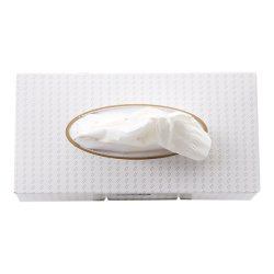Papernet Facial Tissue 