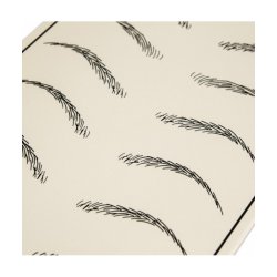 Prveskind med jenbryn