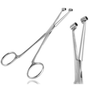 True Septum Forceps 
