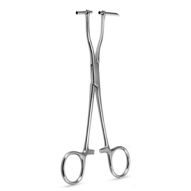 Septum Forceps with Extra Long Pipe 