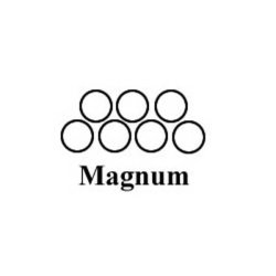 Tilbuds needles on bar - 50 stk. Curved Magnum nle.