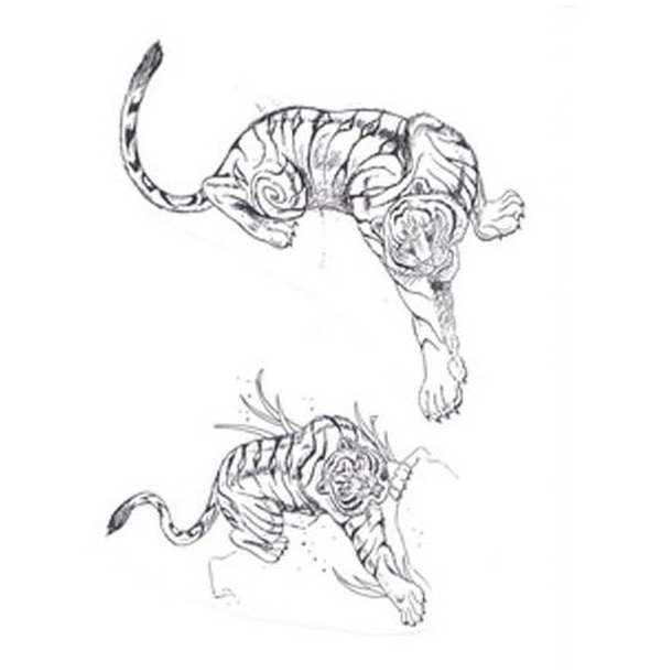Tatto Flash. p CD - Dyr-Tiger-lver-(animals)